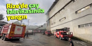 Rize’de çay fabrikasında yangın