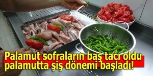 Palamut sofraların baş tacı oldu: palamutta şiş dönemi