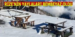 RİZE'NİN YAYLALARI BEMBEYAZ OLDU