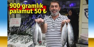 900 gramlık palamut 50 lira: Vatandaş sıraya girdi