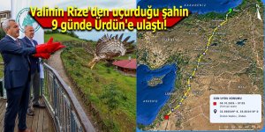 Valinin Rize'den uçurduğu şahin 9 günde Ürdün'e ulaştı!