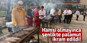 Hamsi olmayınca balık şenliğinde palamut ikram edildi