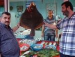 200 YTL’ye dev kalkan balığı
